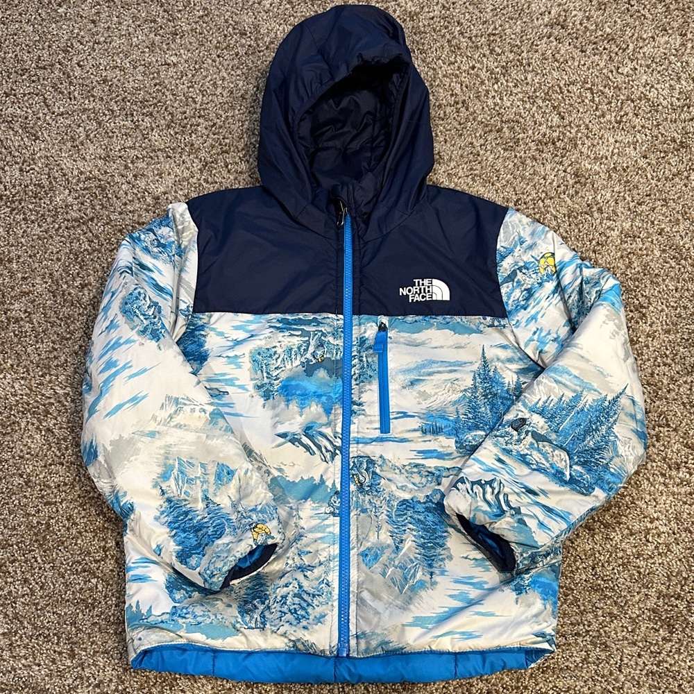 The North Face Navy  REVERSIBLE Blue Scenic Print Hooded Puffer